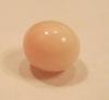 1.79 carat conch pearl