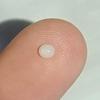 0.3 ct the World's Smallest Clam Pearl