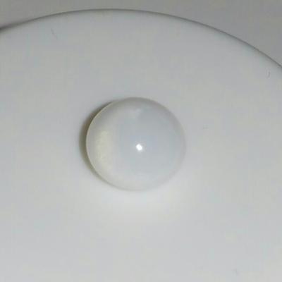 Tiny Clam Pearl 1.2 ct