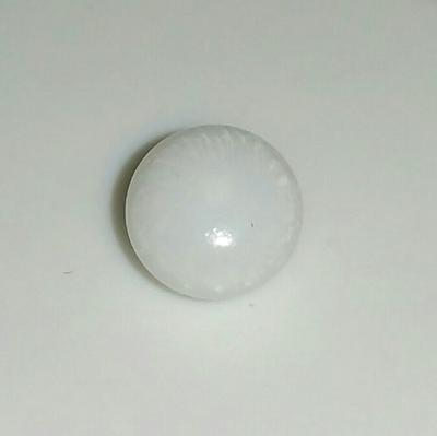 Tiny Clam Pearl 1.2 ct
