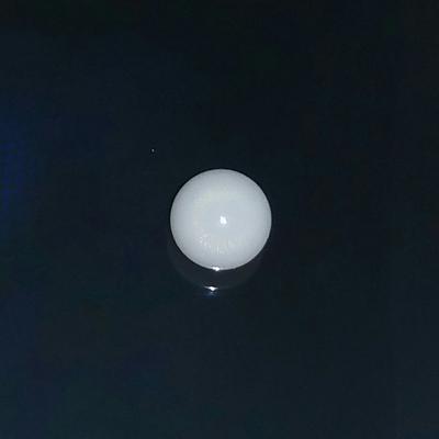 Tiny Clam Pearl with Flame 1.25 ct