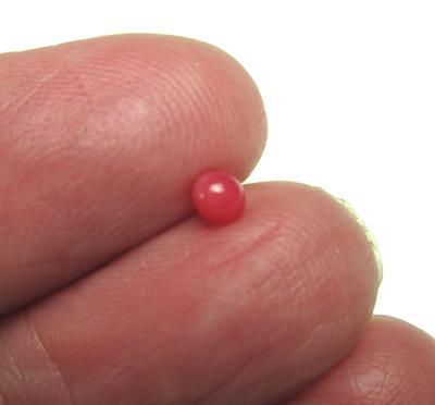 Tiny Round Conch Pearl Dark Pink 3mm