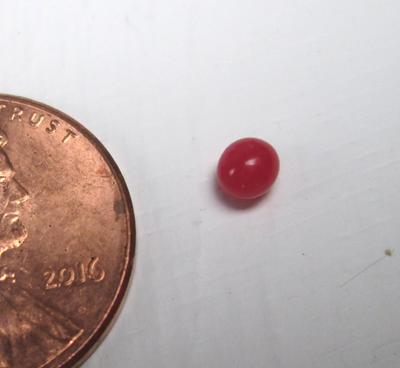 Tiny Round Conch Pearl Dark Pink 3mm