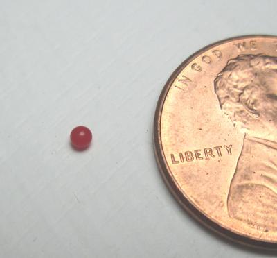 Tiny Round Red Conch Pearl 1mm