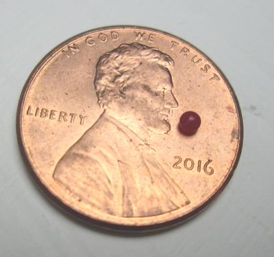 Tiny Round Red Conch Pearl 1mm