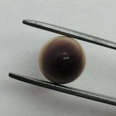 Tri-Color Quahog Pearl Drop Shape for Sale 3+ Carats