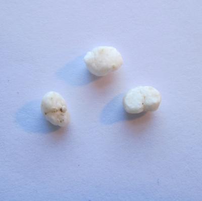 Trio of Scallop Pearls 1.95 carats 6mm 