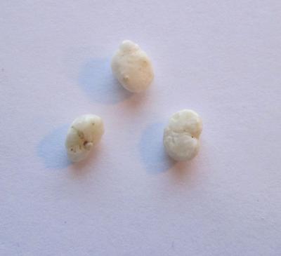 Trio of Scallop Pearls 1.95 carats 6mm 