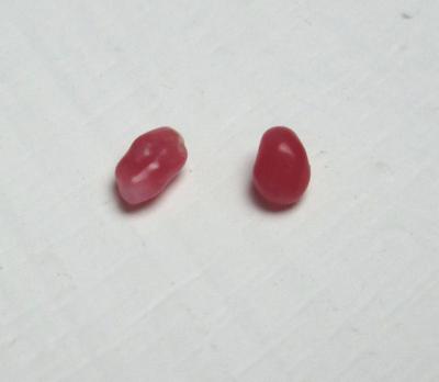 Two Dark Pink Conch Pearls Baroque 4mm and 3mm