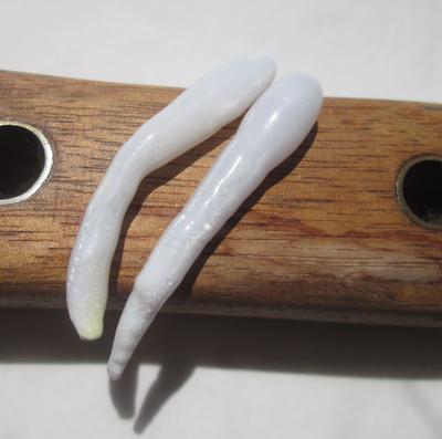 Two Elongated Drop 34mm Clam Pearls 12+ carats - Total