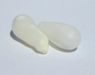 Two Long Drop Shaped Clam Pearls - 10 carats Total for Sale