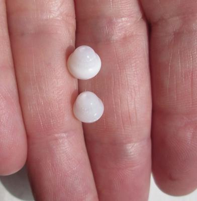 Two Natural Flame Filled Clam Pearls 4+ carats Total