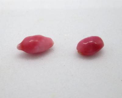 Two Reddish Conch Pearls 1.4ct total