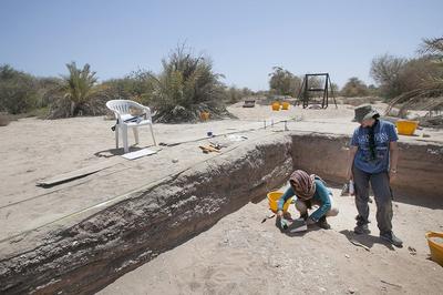 Dalma Island Excavation