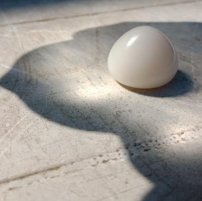 Unique Clam Pearl of 59+ ct Impressive and Rare