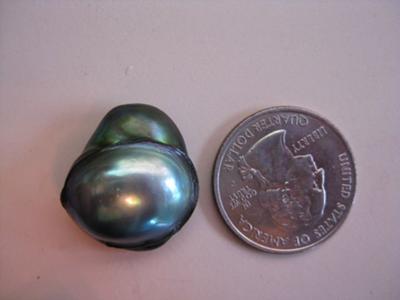 Curt's Abalone Pearl