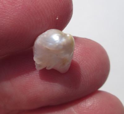 USA Natural 3+ carat Freshwater Baroque Pearl Two Toned