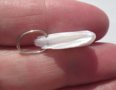 USA Natural Freshwater Pearl Pendant on 14k Gold 5+ carats