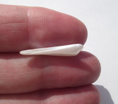 USA Natural Freshwater Pearl Spike 25mm 2+ carats