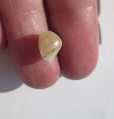 USA Natural Pearl Freshwater 3+ carats Baroque Pendant