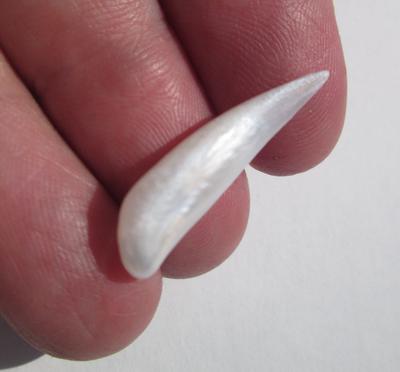 USA Natural Spike Freshwater 5+ carat Pearl