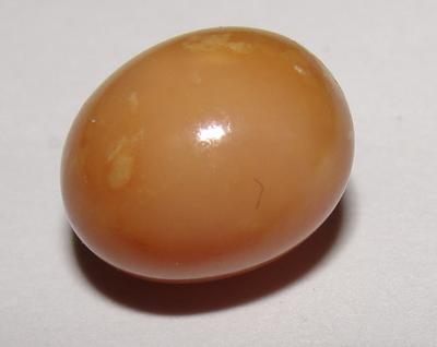 Very Rare  Brown Conch Pearl