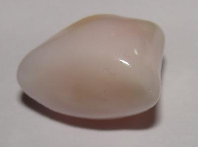 Very Rare White Conch Pearl