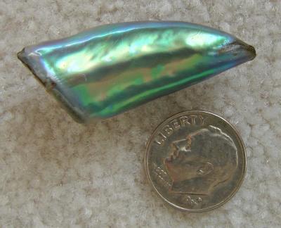 Vince Vabri's Abalone Pearl