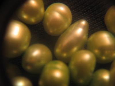 close up of pearls