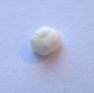 Natural scallop pearls for sale