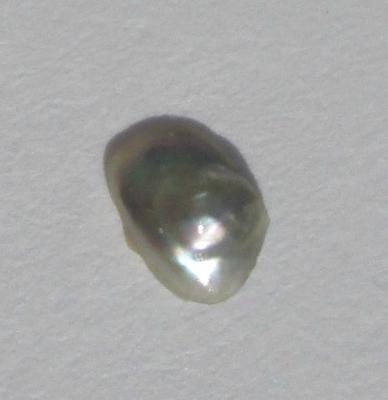 0.20 carat White Abalone Pearl for Sale