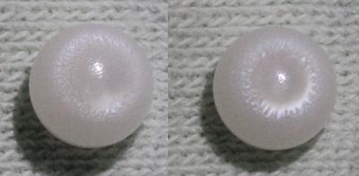 White Clam Pearl 1 ct.