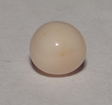 conch pearl