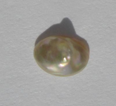 0.25 carat White Cone Shaped Abalone Pearl for Sale