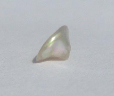 0.25 carat White Cone Shaped Abalone Pearl for Sale