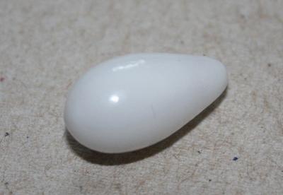 White Drop Clam Pearl