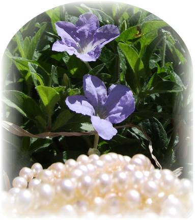 White Pearls Periwinkle