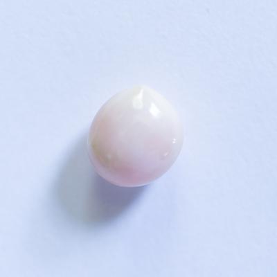 Whitish Oval Conch Pearl 2+ carat 8mm