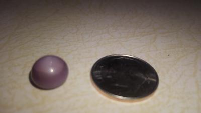 Wild quahog pearl found while clamming in New jersey