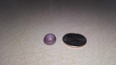 Wild quahog pearl found while clamming in New jersey