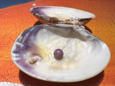 Although Natalia hasn't had it valued yet, experts estimate the pearl could be worth £3,500 ( Image: Jam Press)