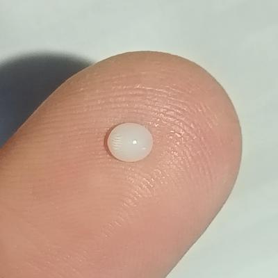 0.3 ct the World's Smallest Clam Pearl