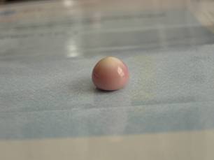 10 Carat Quahog Pearl