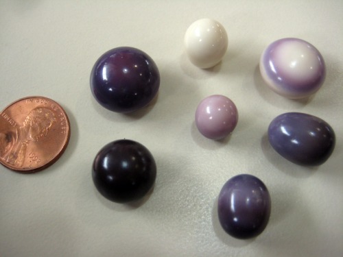 Quahog Pearls Photo