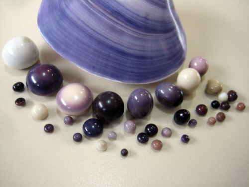 Quahog Pearls Photo