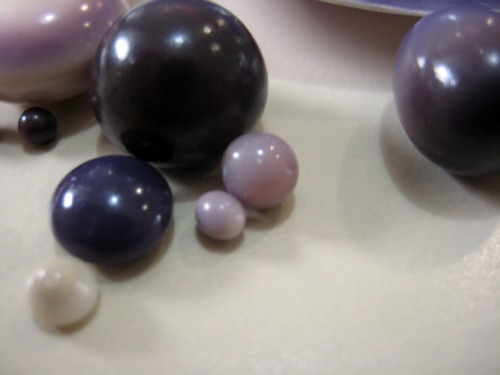 Quahog Pearls Photo