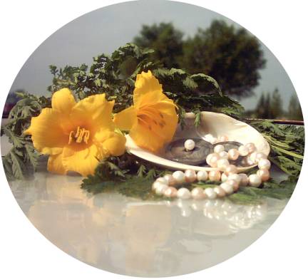 Purchase pink and white pearl necklace here. daylily with pearls on shell