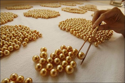 gold cultured pearls