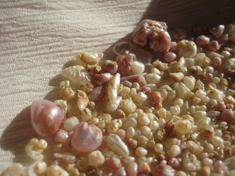 Minnesota River Pearls Minnesota River Pearls
