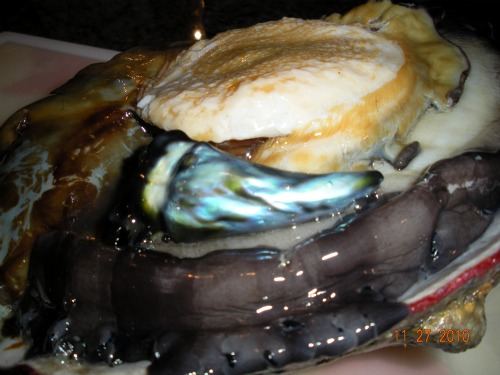 Abalone Pearl 118 carats